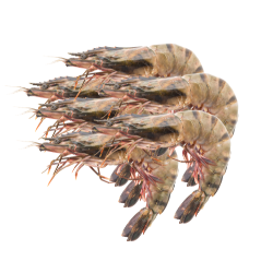 Udang Jumbo Windu 1Kg (150k)