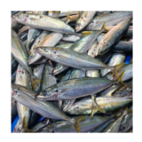 Ikan Lajang 1 tempat (25k)