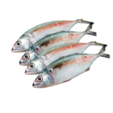 Ikan ruma-ruma (25k)