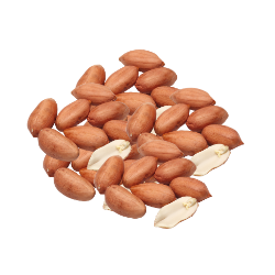 Kacang Tanah (12.5k)